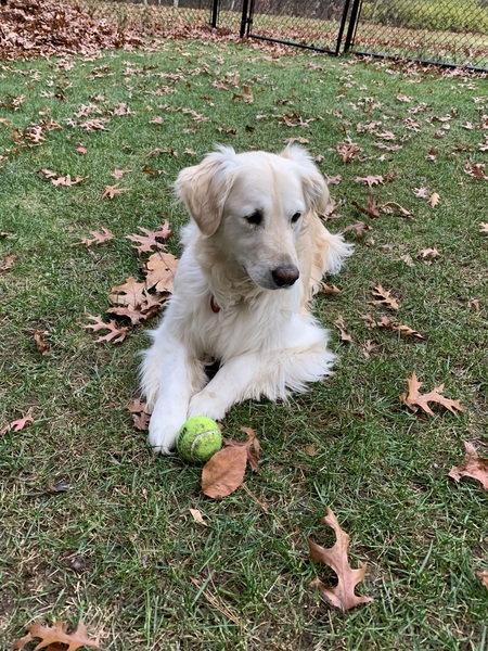 Rita