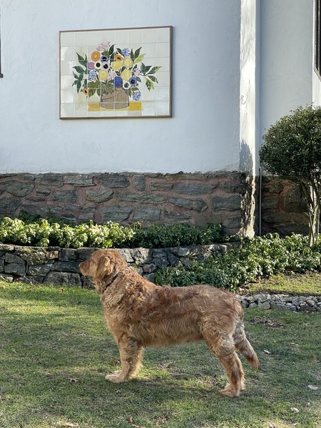 Lucy
