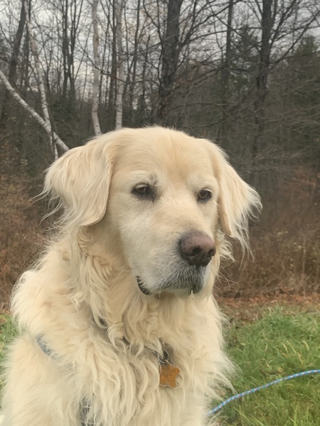 Oscar