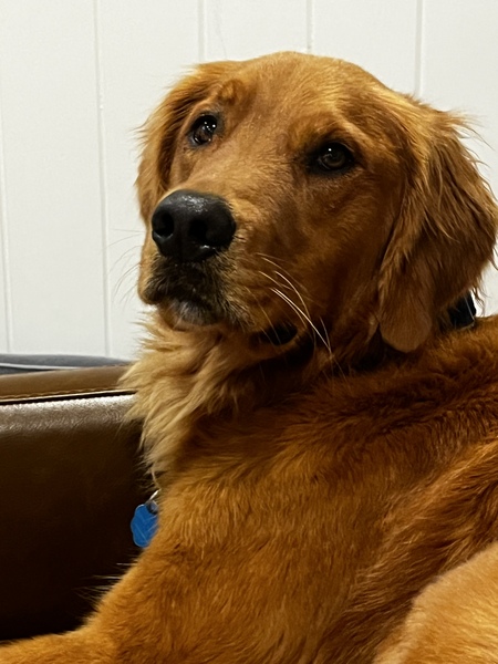 Enzo