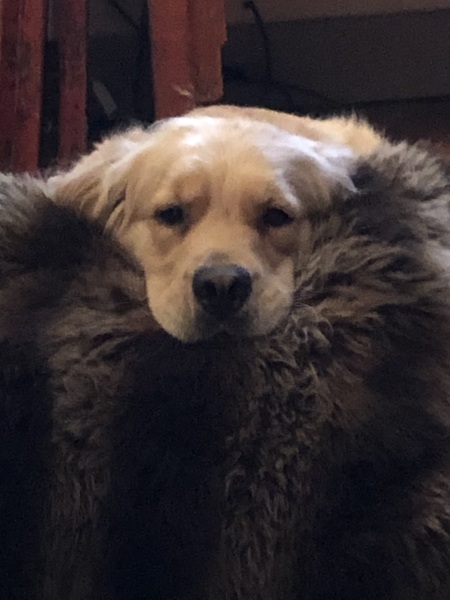 Ella