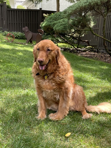 Lucy