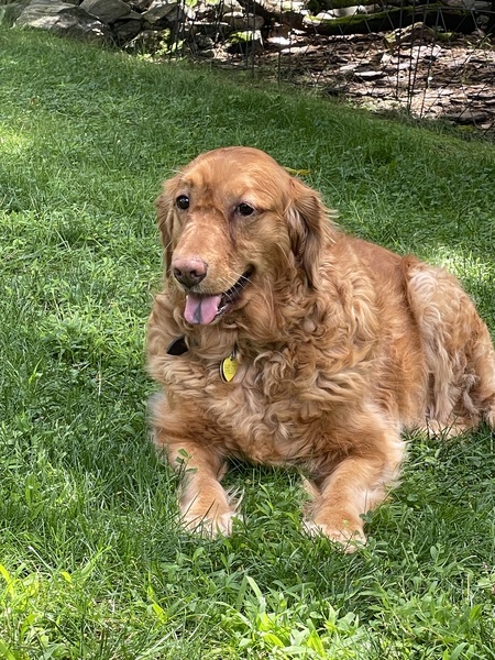 Lucy
