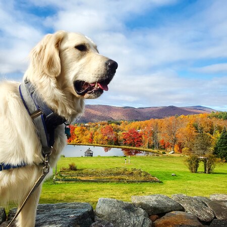 Oakley