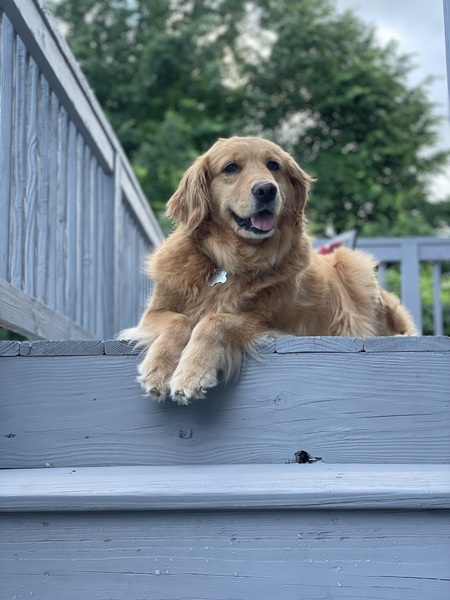 Ella
