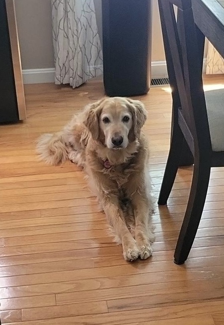 Sophie