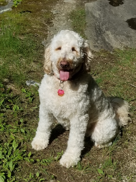 Nellie