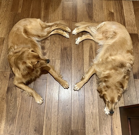 Kelley (5903) and Kenzie (5902)