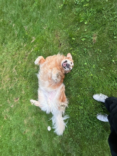 Mac