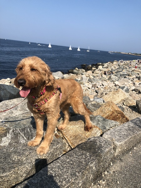 Bailey