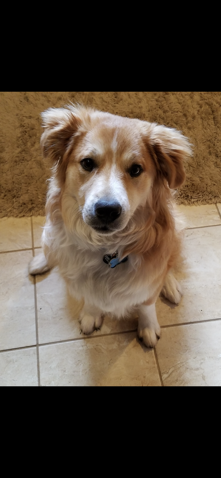 Barkley
