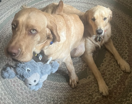Jed & Tennessee (formerly Dunn & Brooks) 