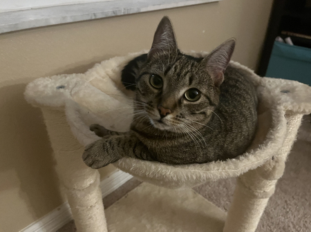 Ellie
