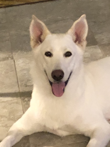 Lola