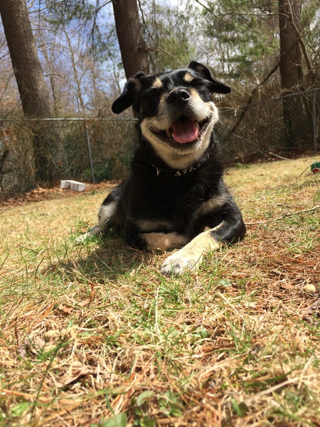 Frankie