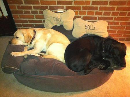 Solly and Daisy