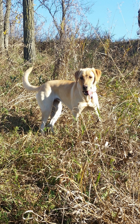 Molly