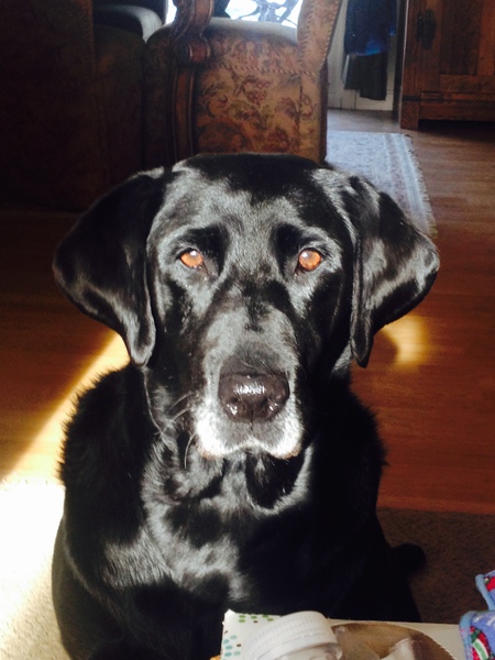 Riley