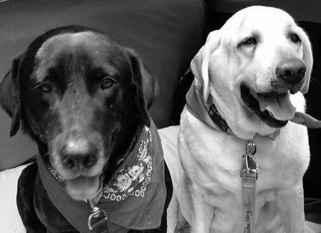 Benny and Shelby