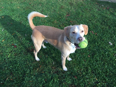 Max