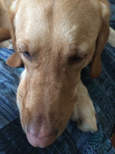 Max