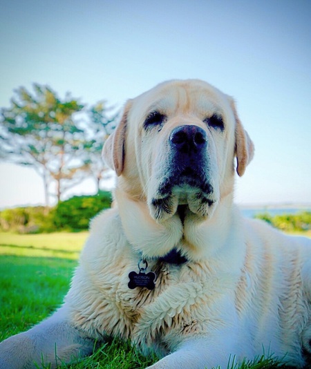 Hudson