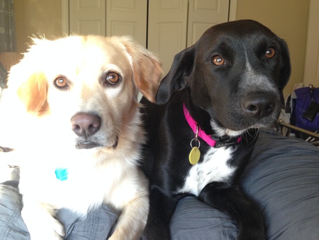 Kenny & Lucy