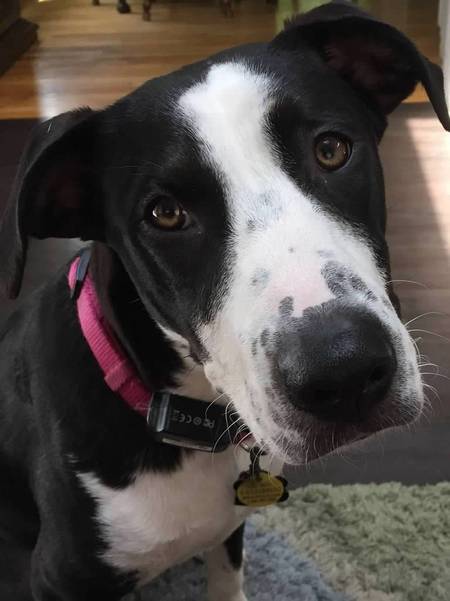 Sadie