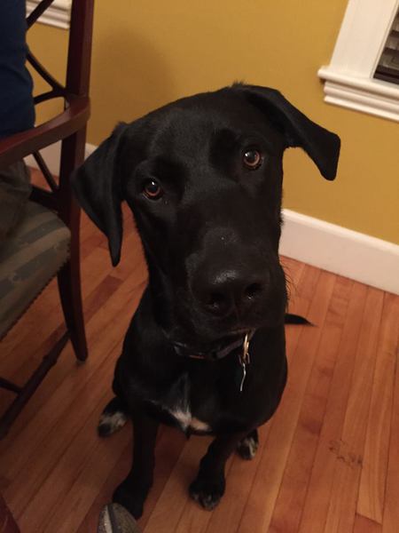 Rosco