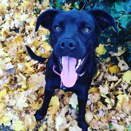 Zoe 