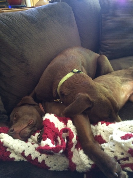 Beau and BetteLou