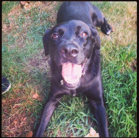 Briley
