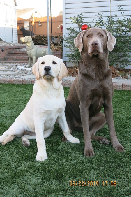 Gypsy & Summer