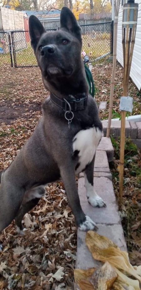 Yoda