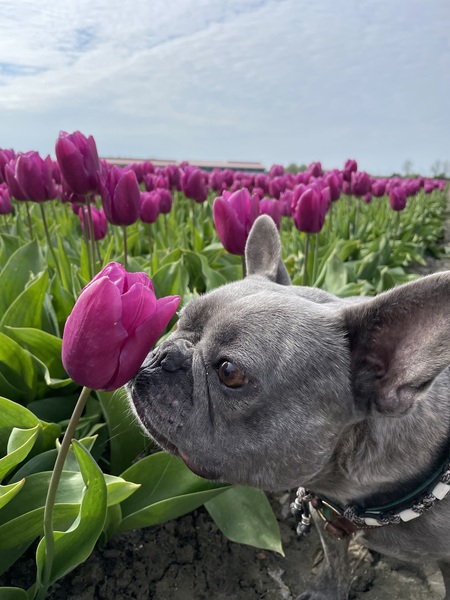 Zoë 