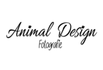 Animal Design Fotografie
