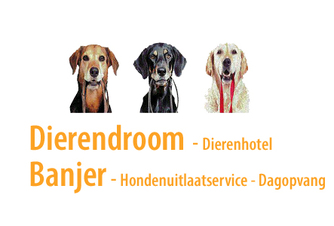 Dierendroom dierenhotel