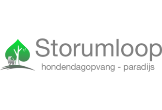 Storumloop