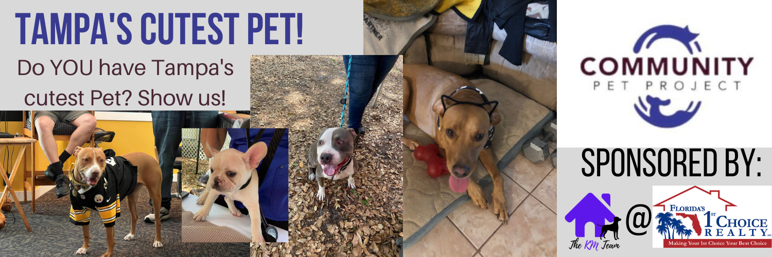Banner for Tampa's Cutest Pet!