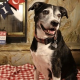 Entry image for Edward