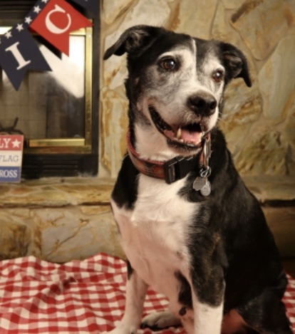 Entry image for Edward. Clicking this image will show a larger photo