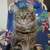 Entry image for Priya