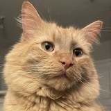 Entry image for Jack