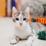 Entry image for Hineni