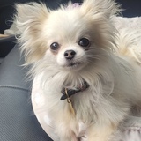 Entry image for Ethel