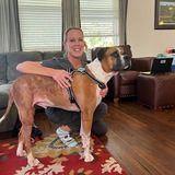 Entry image for Whiskey