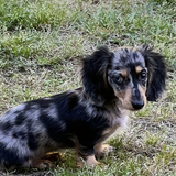 Entry image for Abbey 