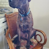 Entry image for Jake