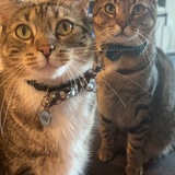 Entry image for Trevor & Cory