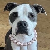 Entry image for Layla Rose 